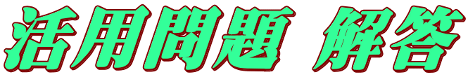 活用問題 解答
